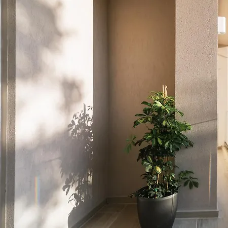 Central Apartments “Evanthia” Pitsidia Dış mekan fotoğraf