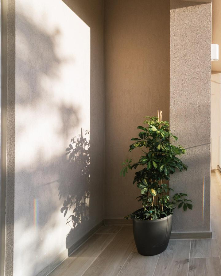 Apartment “evanthia”